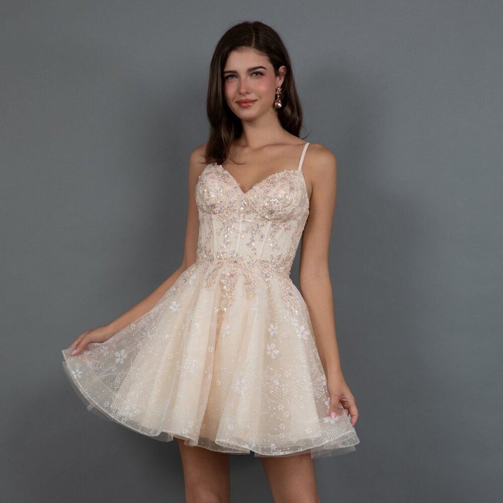 New Formal Floral Lace Embellished Mini Tulle Dress w/ V-Neckline JT985L